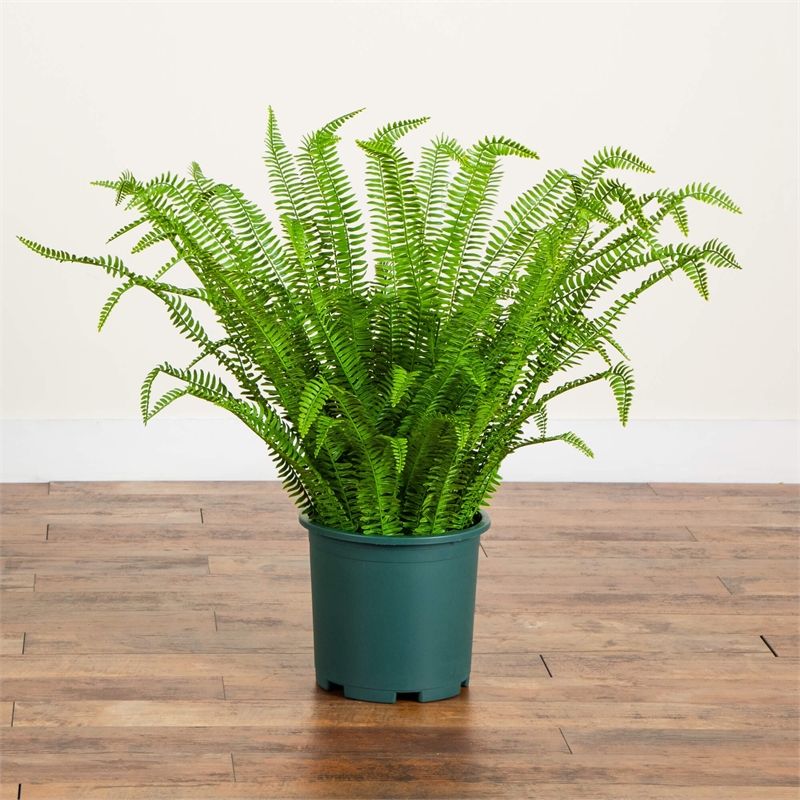 Nearly Natural 3ft UV Resistant Boston Fern Plant with Real Touch Leaves