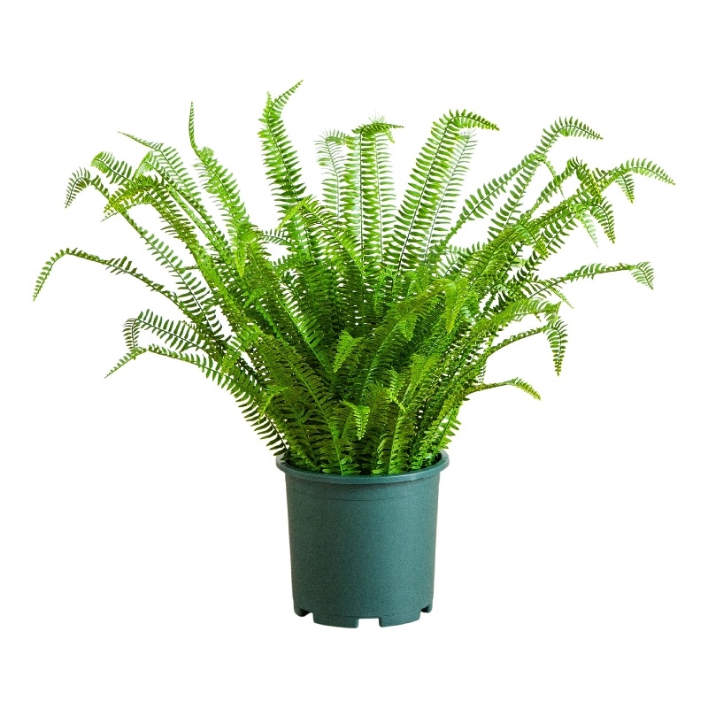 Nearly Natural 3ft UV Resistant Boston Fern Plant with Real Touch Leaves