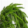 Nearly Natural 10ft Artificial Real Touch Norfolk Island Pine Garland