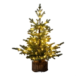 Christmas Trees