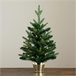 Nearly Natural 2ft Pre-Lit Classic Christmas Tree w/ 35 Warm White LED Lights