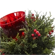Nearly Natural Cedar Berry Candelabrum in Green