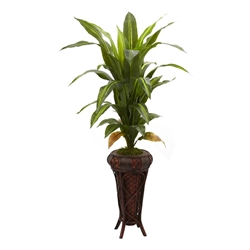 Faux Florals / Plants