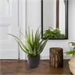 Nearly Natural Aloe Artificial Plant in Green
