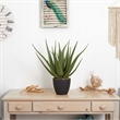 Nearly Natural Aloe Artificial Plant in Green