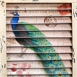 Nearly Natural Peacock Window Shutter Wall Decor in Multi-Color