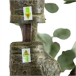 Nearly Natural 13ft Artificial Eucalyptus Tree in Green