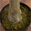 Nearly Natural 13ft Artificial Eucalyptus Tree in Green