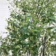 Nearly Natural 12ft Giant Artificial Olive Tree in Green