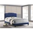 Navy Velvet Upholstered Panel Bed with Silver Nailhead - Queen