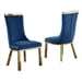 Navy Blue Velvet / Gold