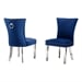 Navy Blue / Silver