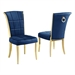 Navy Blue / Gold