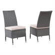 Best Quality Furniture Gray Outdoor PE Rattan Wicker Dining Chairs Set of 2