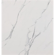 Best Quality Furniture White Marble Coffee Set with Steel Ovular Base