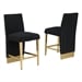 Black / Gold