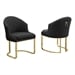 Black / Gold
