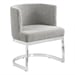 Rich Gray / Silver