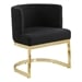 Black / Gold