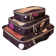 American Flyer Fireworks 3 Piece Packing Cubes Set in Purple