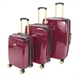 Jenni Chan Entin 3-Piece Hardside Spinner Set in Merlot