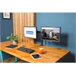 Rocelco Premium Desk Computer Monitor Mount - VESA pattern - Black (R DM2)