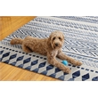 Afuera Living Indoor Outdoor Machine Skip Area 7'x9' Rug in Ivory and Blue