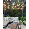 Afuera Living Plastic Outdoor LED 12 String Light with Edison Bulb in Black