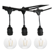 Afuera Living Plastic Outdoor LED 12 String Light with Edison Bulb in Black
