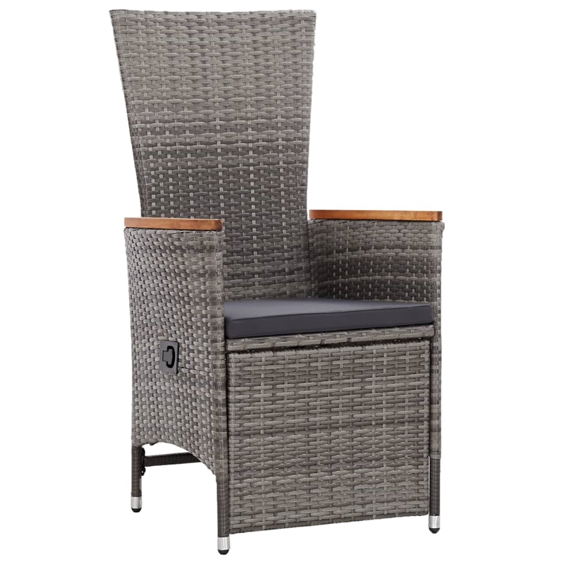 Afuera Living 11 Piece Poly Rattan Garden Dining Set in Gray