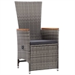 Afuera Living 11 Piece Poly Rattan Garden Dining Set in Gray