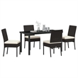 Afuera Living 5 Piece Poly Rattan Garden Dining Set in Black
