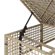 Afuera Living Contemporary Rattan Garden Sofa Set in Mix Beige