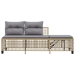 Afuera Living Contemporary Rattan Garden Sofa Set in Mix Beige