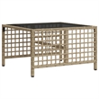 Afuera Living Contemporary Rattan Garden Sofa Set in Mix Beige