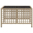 Afuera Living Contemporary Rattan Garden Sofa Set in Mix Beige