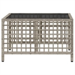 Afuera Living Contemporary Rattan Garden Sofa Set in Light Gray