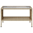 Afuera Living Contemporary Synthetic Poly Rattan Garden Sofa in Beige