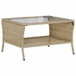 Afuera Living Contemporary Synthetic Poly Rattan Garden Sofa in Beige