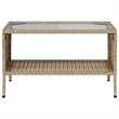 Afuera Living Medium PE Rattan Garden Sofa With Adjustable Feet in Beige