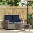 Afuera Living Rattan & Powder-Coated Steel & Tempered Glass Garden Sofa in Gray