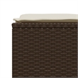 Afuera Living Contemporary Poly Rattan Small Sofa Set in Brown/Cream