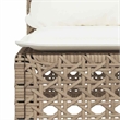 Afuera Living Contemporary 5 Piece Poly Rattan Sofa Set in Beige