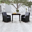 Afuera Living Contemporary Synthetic Poly Rattan Garden Dining Set in Black