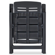 Afuera Living Anthracite Plastic Standard Foldable Outdoor Dining Set