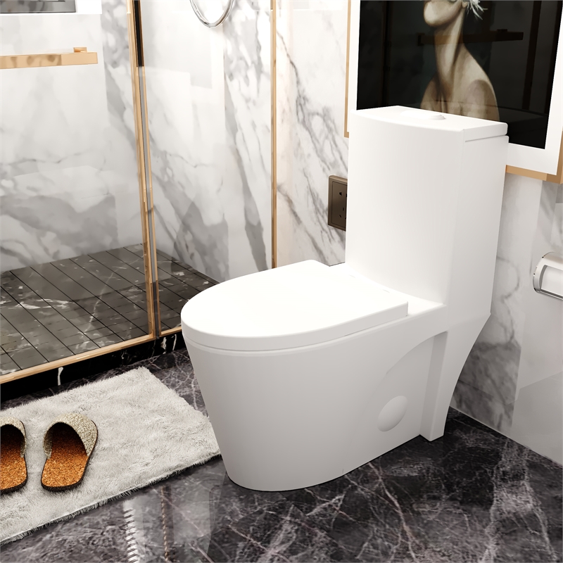 Afuera Living Ceramic Elongated 1-Piece Toilet with Dual Flush in White