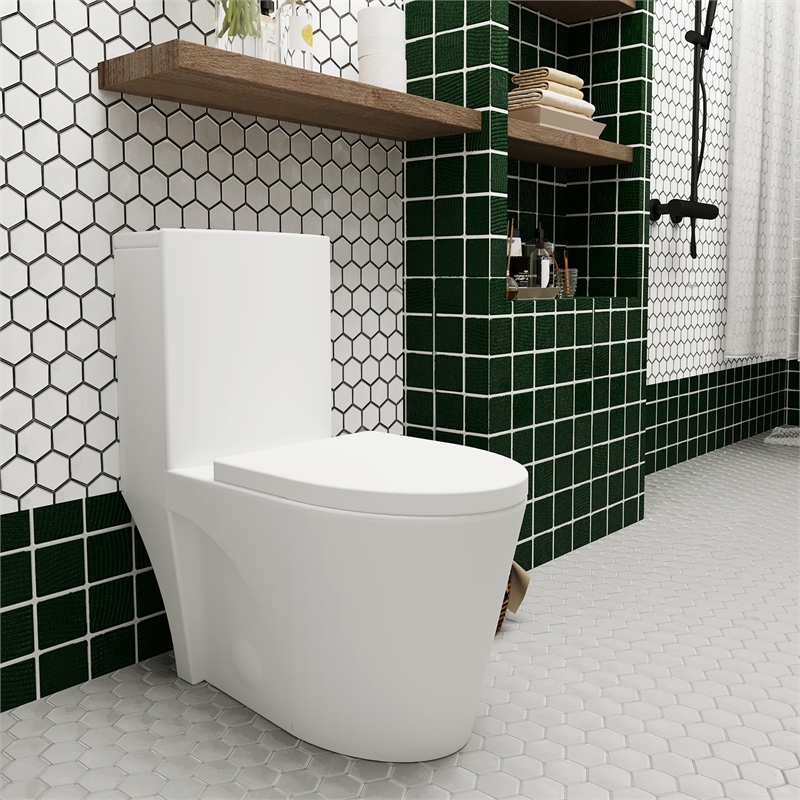 Afuera Living Ceramic Elongated 1-Piece Toilet with Dual Flush in White