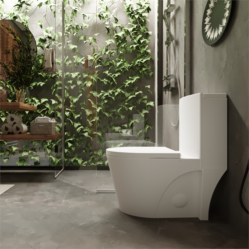 Afuera Living Ceramic Elongated 1-Piece Toilet with Dual Flush in White
