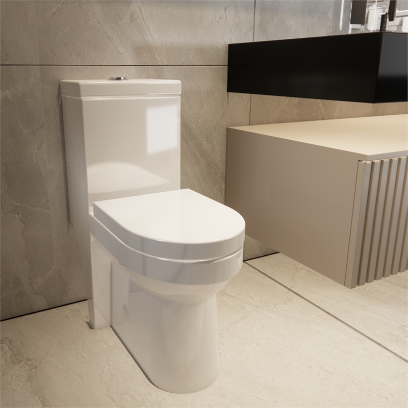 Afuera Living White One-Piece Dual Flush Toilet 24.8Dx13Wx27.55H Inches