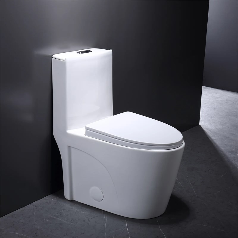 Afuera Living White Ceramic One-Piece Dual Flush cUPC Toilet 1.1/1.6 GPF